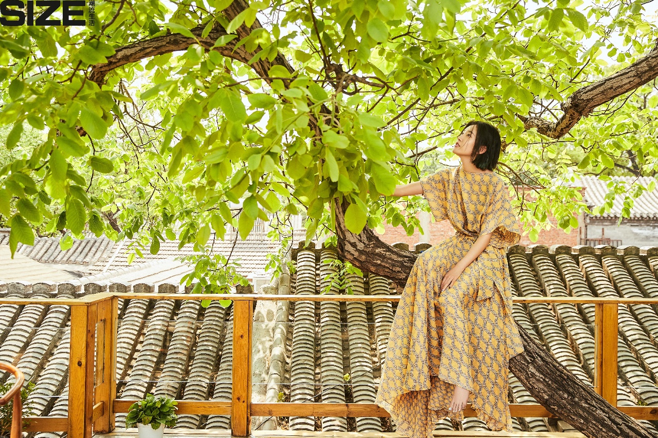 京城·63號院子，有院子老樹老北京的煙火氣息