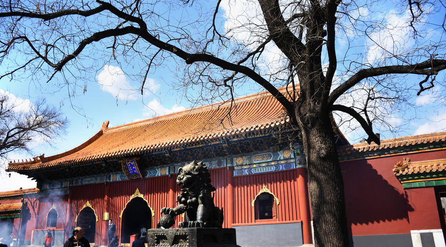 京城·63號院子，有院子老樹老北京的煙火氣息