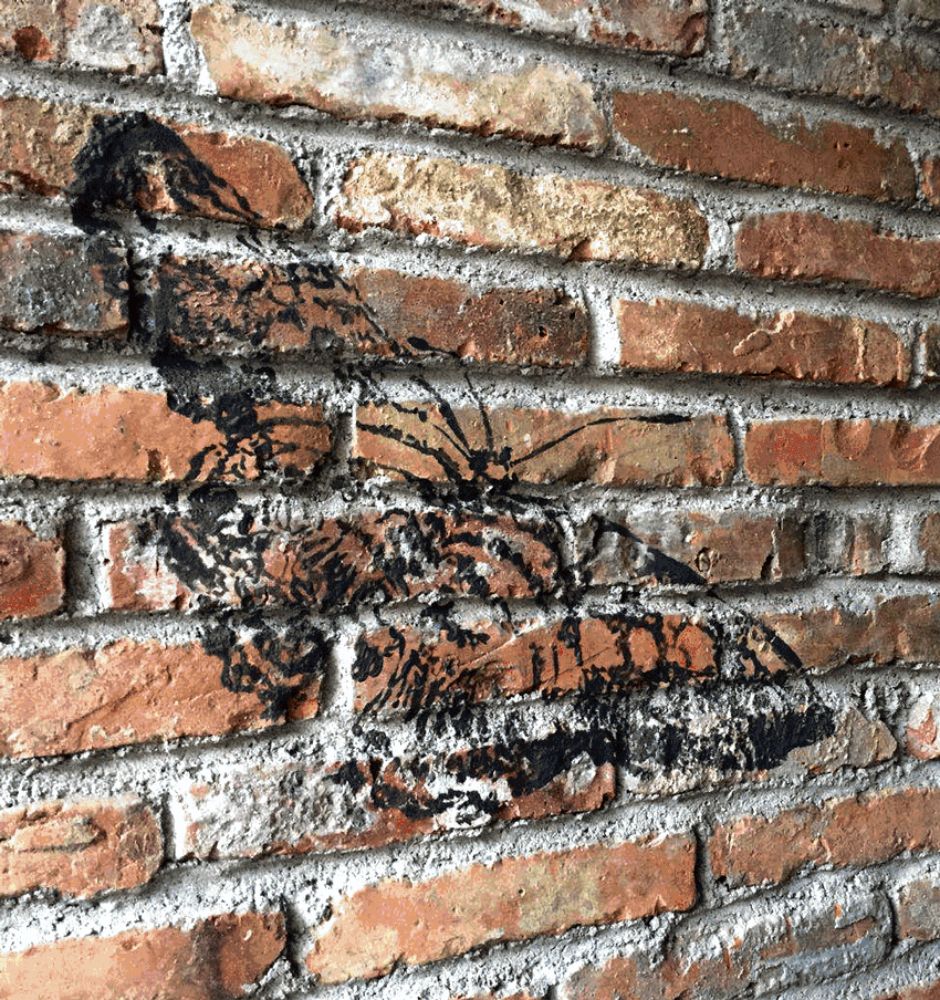 莫干山·宿里，一處桃花源建一處詩意棲居之所