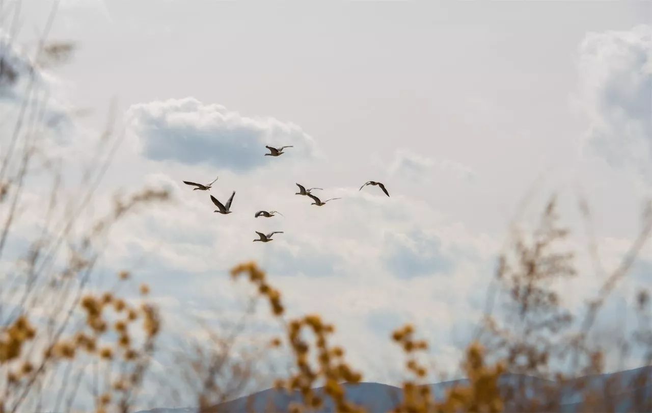 莫干山·宿里，一處桃花源建一處詩(shī)意棲居之所