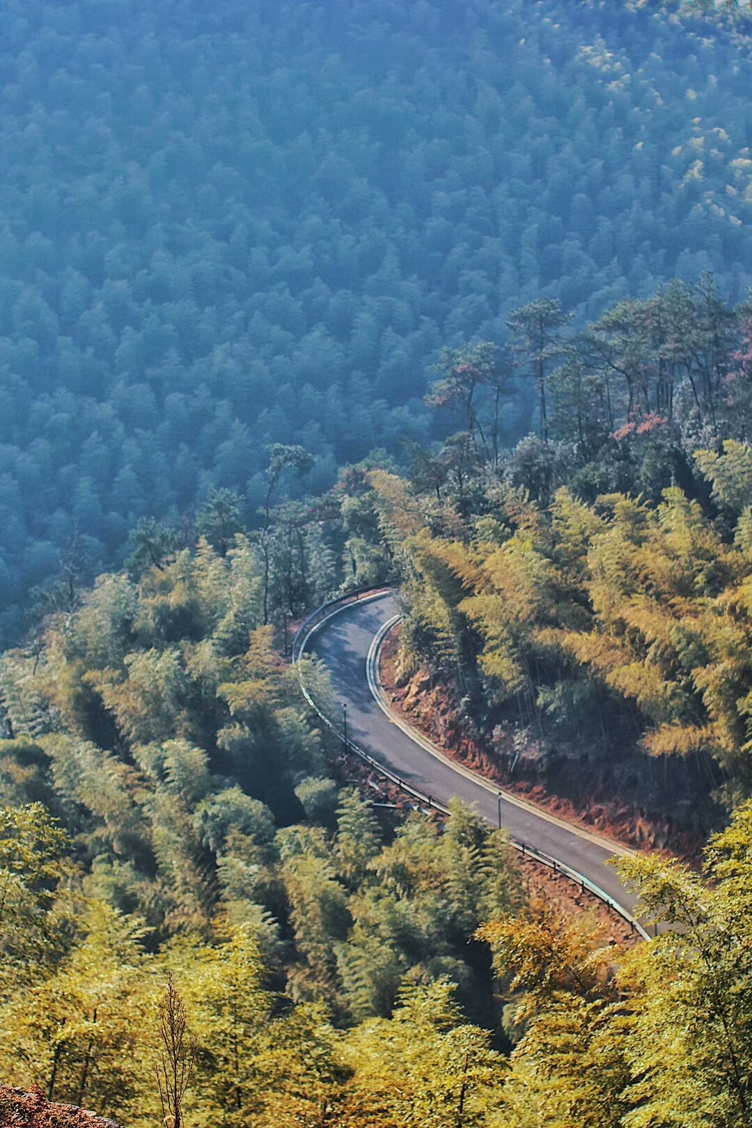 莫干山·宿里，一處桃花源建一處詩(shī)意棲居之所