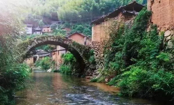 麗水·曼山居，依山而居便不知人間是何夕