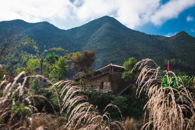 麗水·曼山居，依山而居便不知人間是何夕