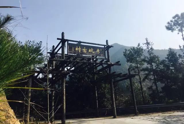 麗水·曼山居，依山而居便不知人間是何夕