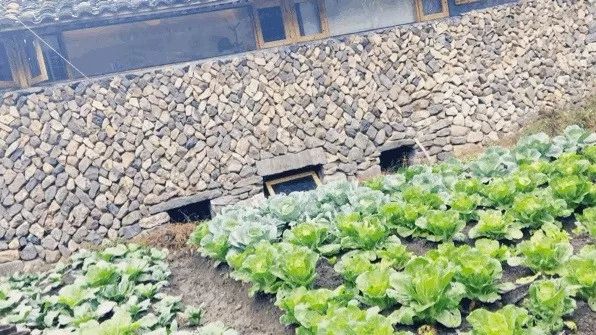 麗水·曼山居，依山而居便不知人間是何夕