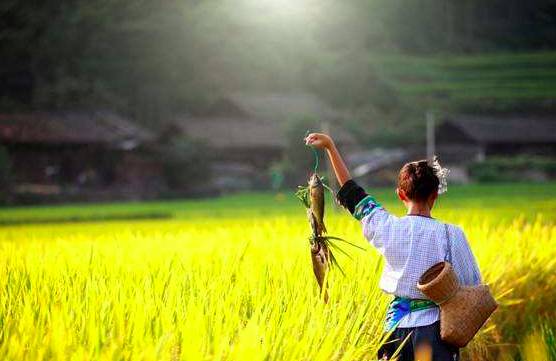 麗水·曼山居，依山而居便不知人間是何夕