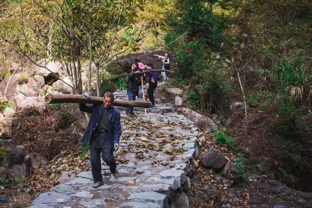 麗水·曼山居，依山而居便不知人間是何夕