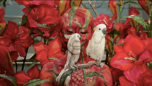 人體彩繪藝術(shù)：在皮膚上畫(huà)畫(huà)，美爆了!