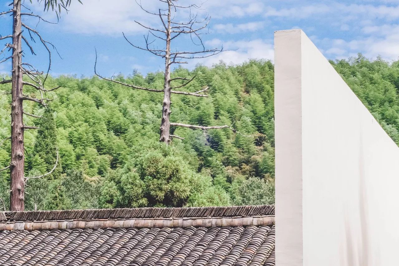 杭州·菩提谷，與你一起私有群山秘境