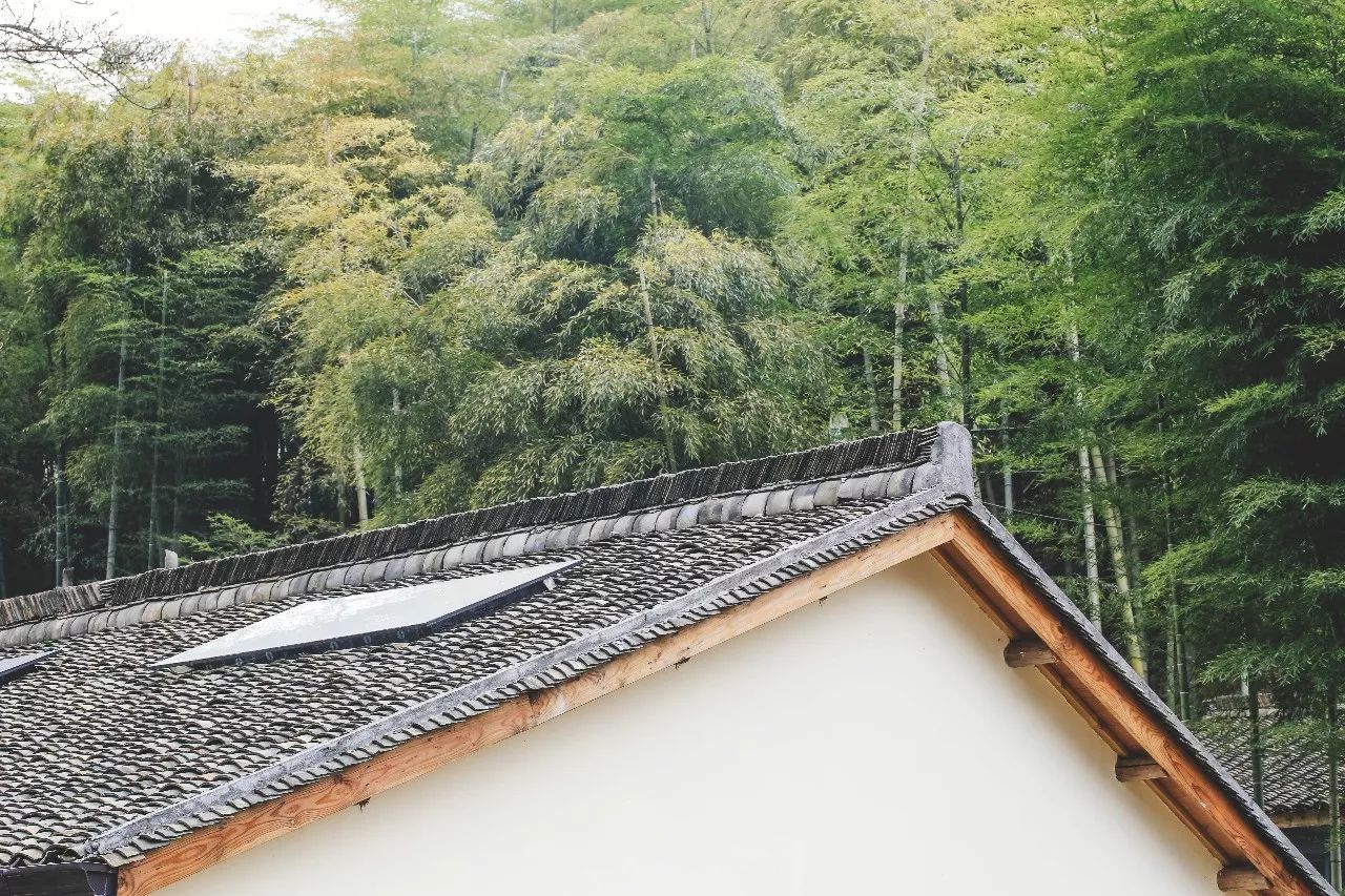 杭州·菩提谷，與你一起私有群山秘境