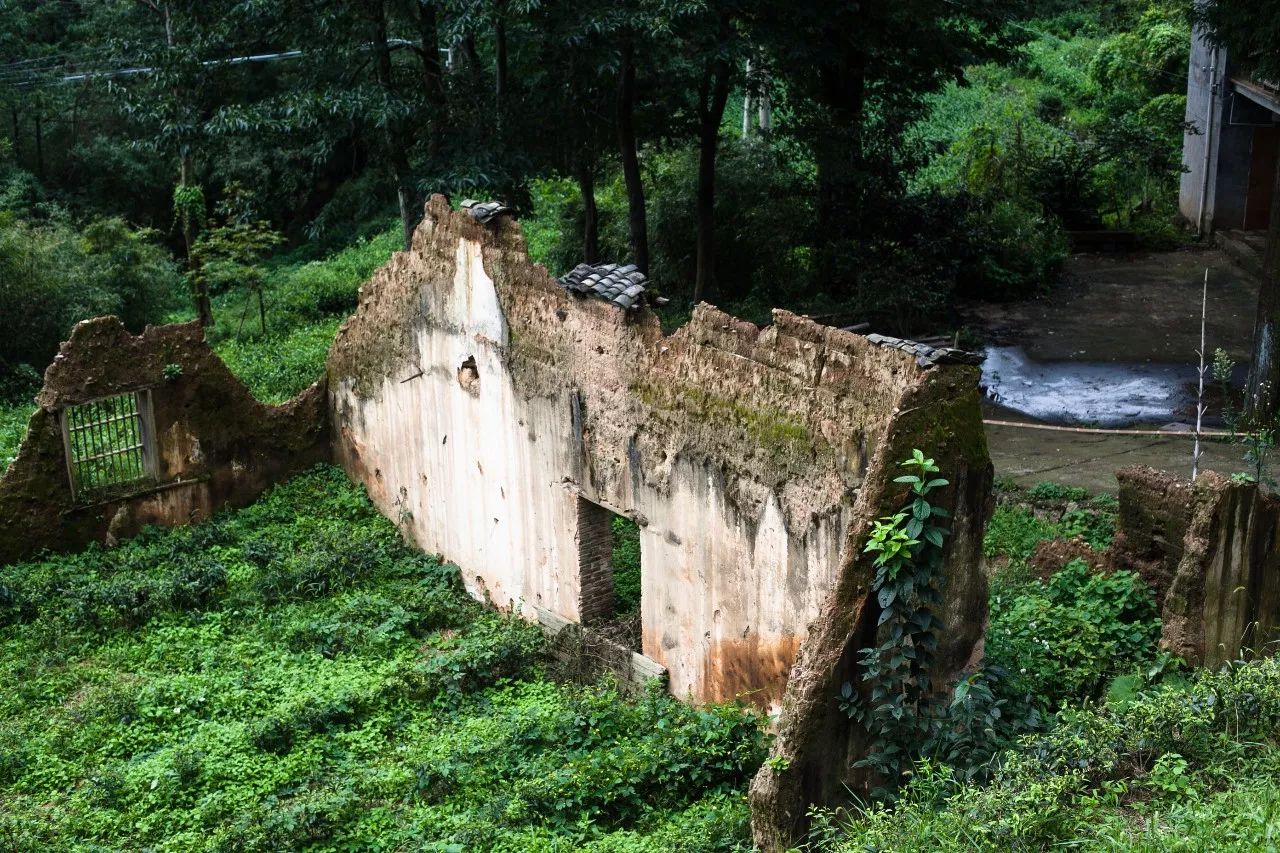 杭州·菩提谷，與你一起私有群山秘境