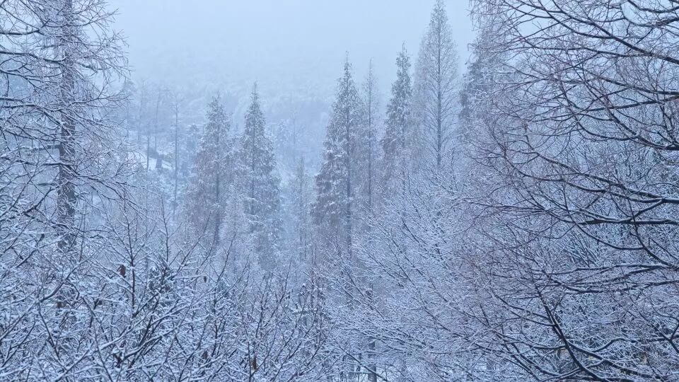 杭州·菩提谷，與你一起私有群山秘境