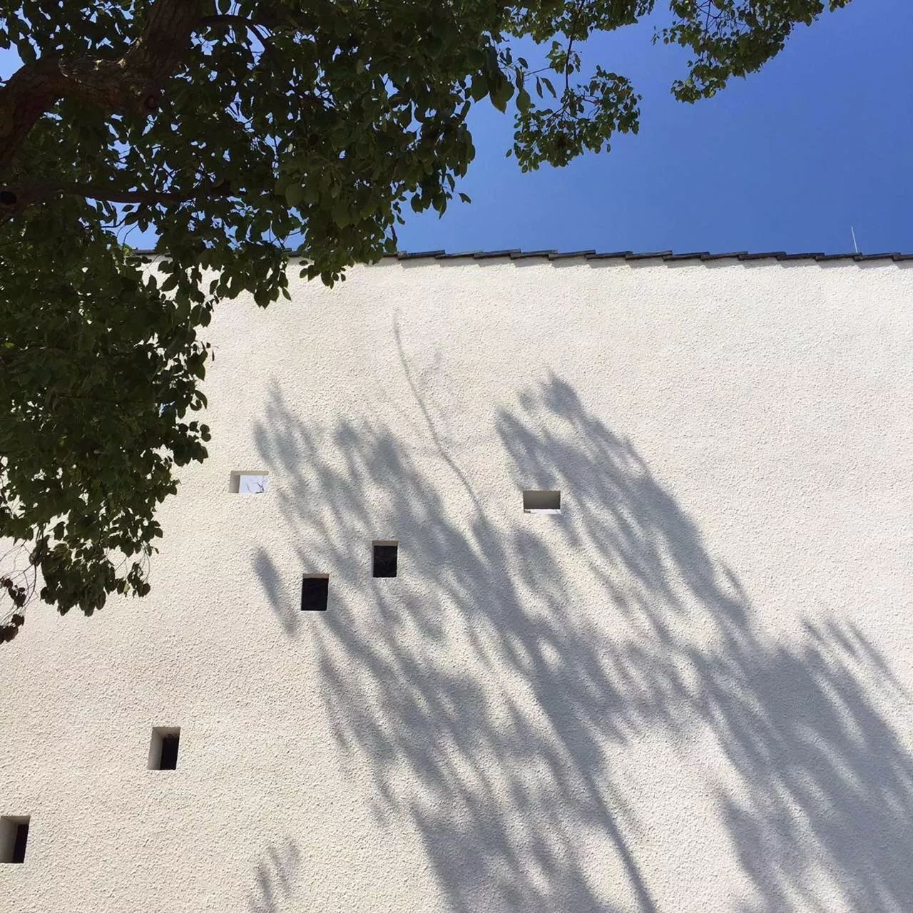 新中式建筑：望廬·一處徽派老宅的煥然新生！