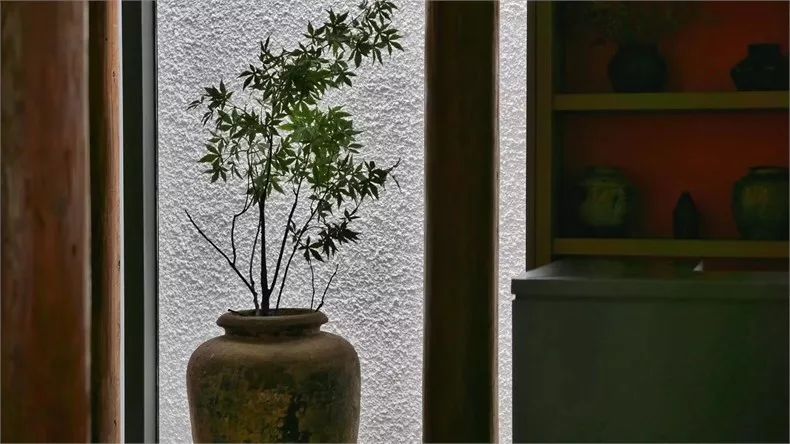 新中式建筑：望廬·一處徽派老宅的煥然新生！