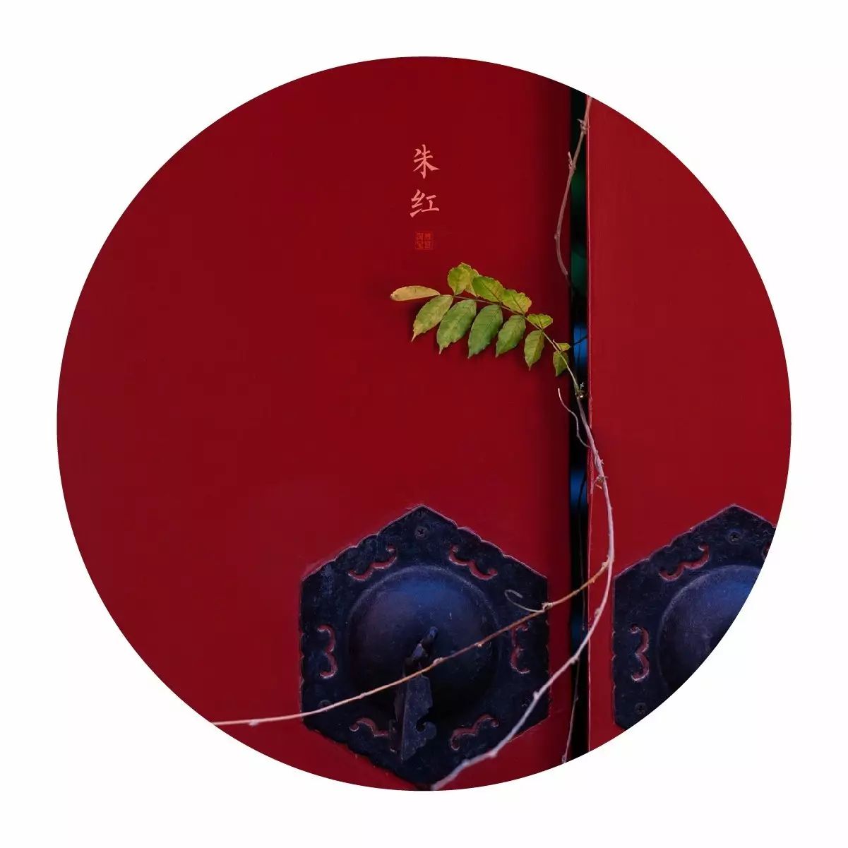 中國最美的配色：紫禁城古建筑的色彩美！