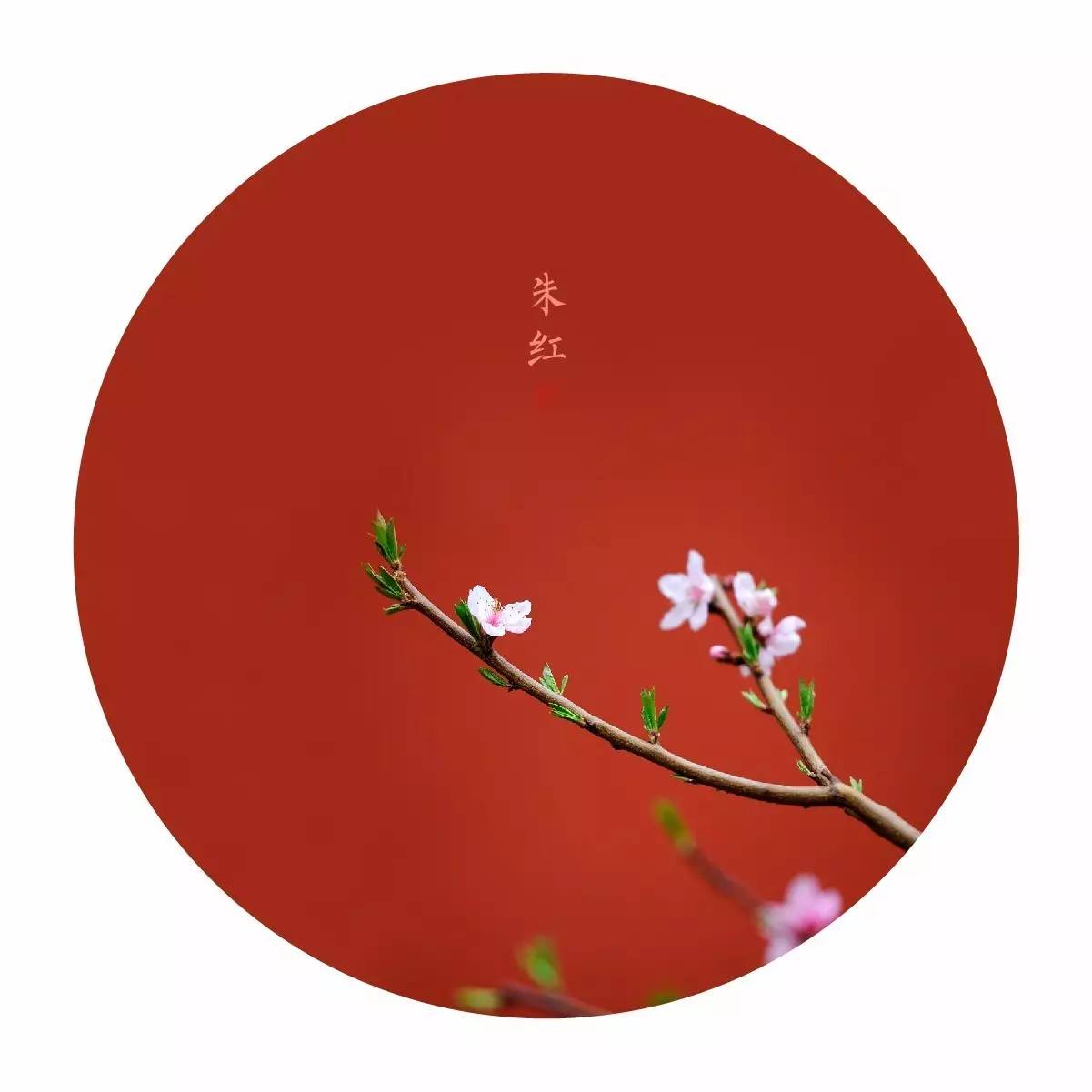 中國最美的配色：紫禁城古建筑的色彩美！