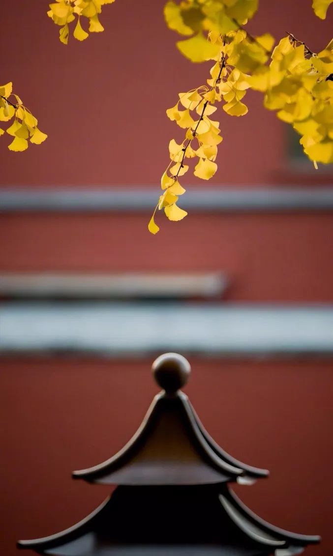 中國(guó)最美的配色：紫禁城古建筑的色彩美！