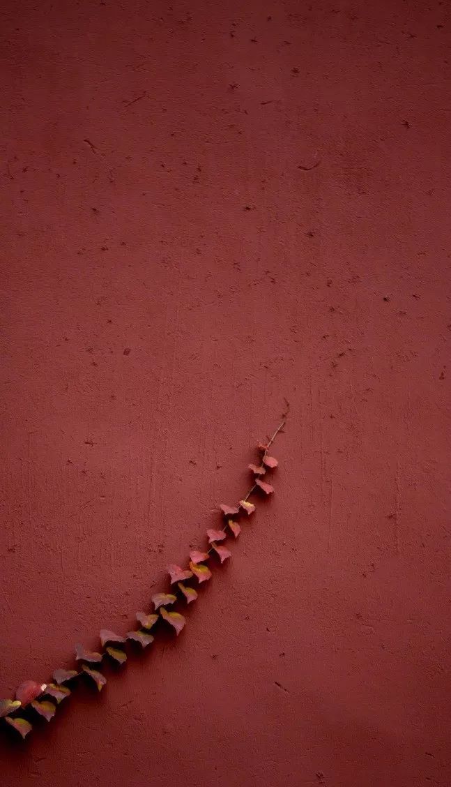 中國(guó)最美的配色：紫禁城古建筑的色彩美！