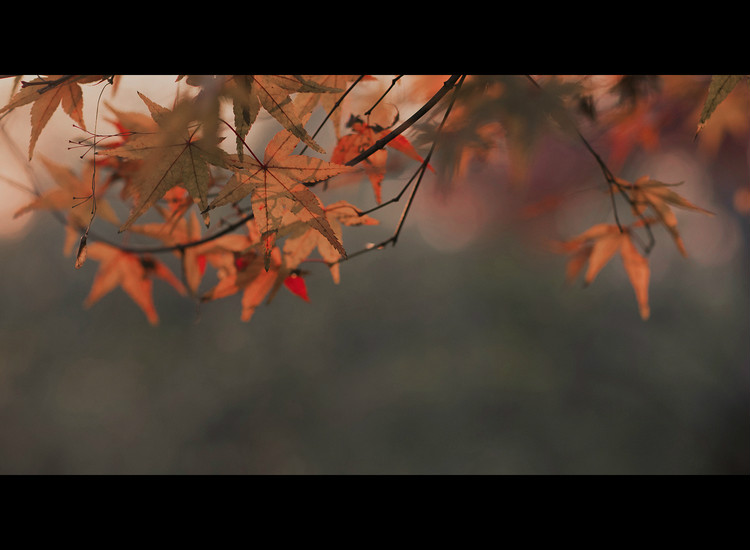 風月·人像古裝攝影