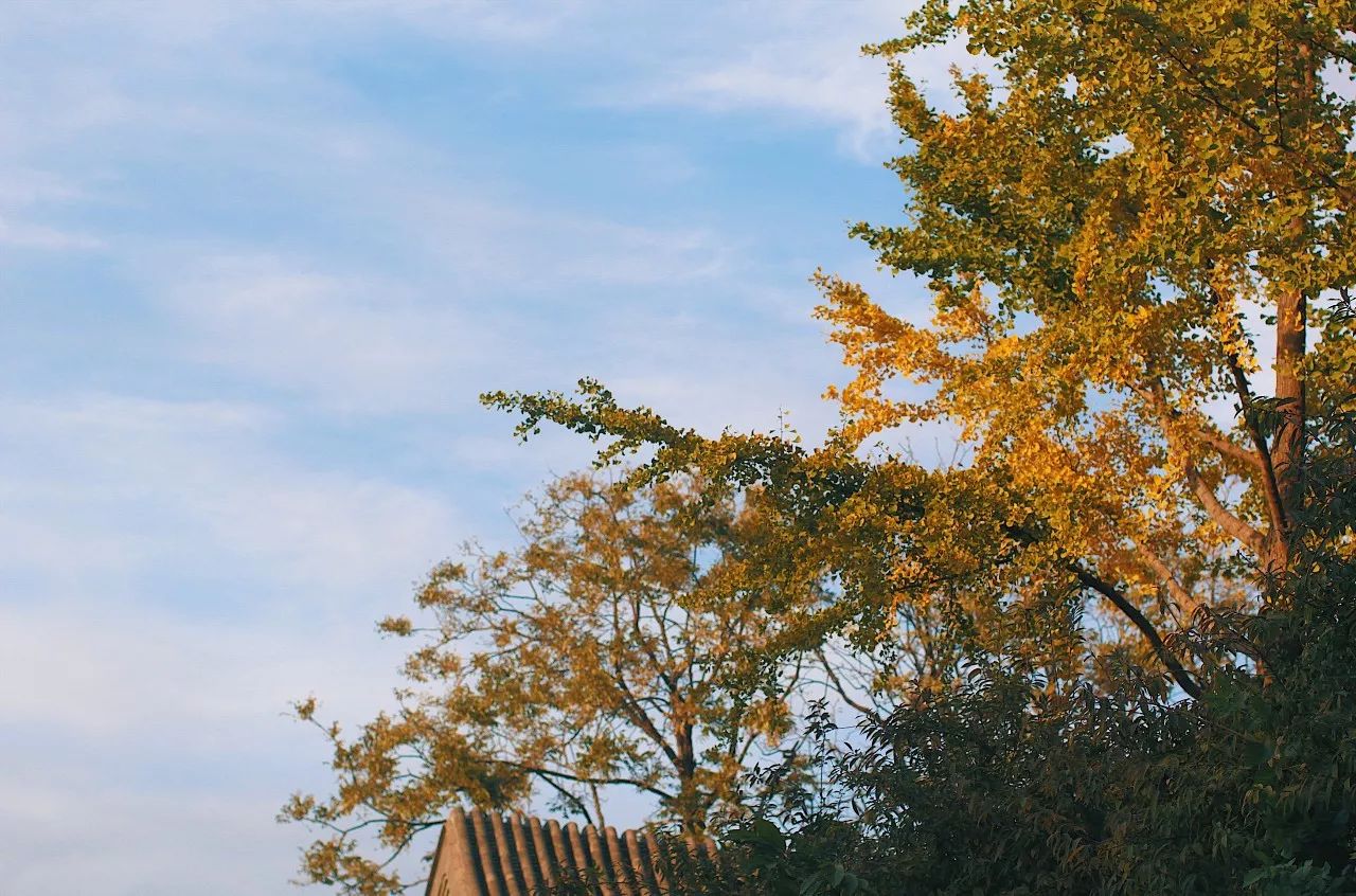 秋果·798店，愿你找回20年前的單純時(shí)光