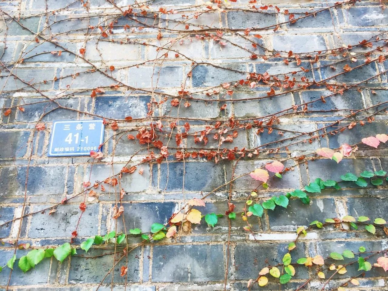 隱南·門東，有著金陵六朝古都的味道