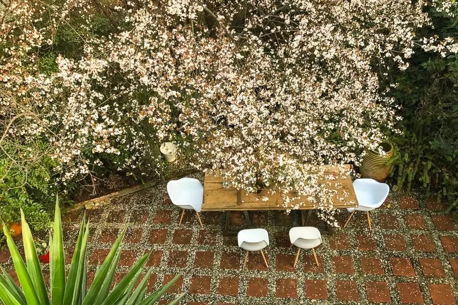 成都·肯派，把日子過成詩有酒有故事更有愛!