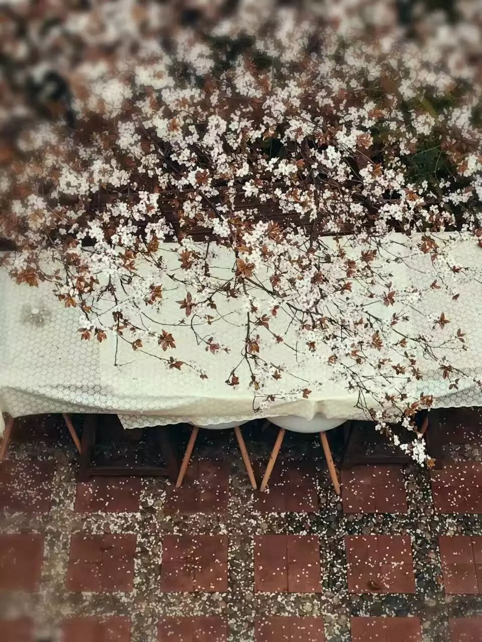 成都·肯派，把日子過成詩有酒有故事更有愛!