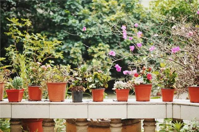 成都·肯派，把日子過成詩有酒有故事更有愛!