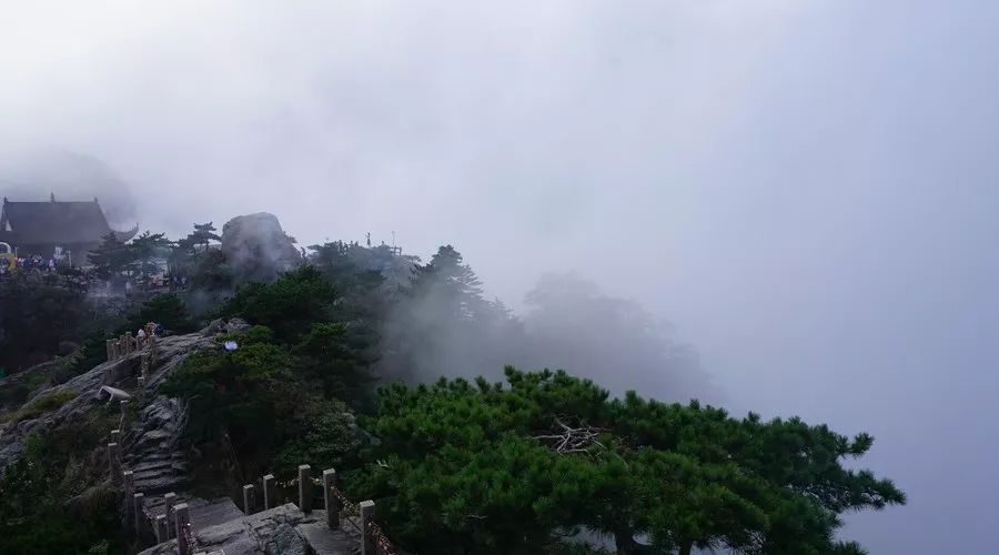 九華山·清竹里，延續(xù)和分享茶文化禪文化