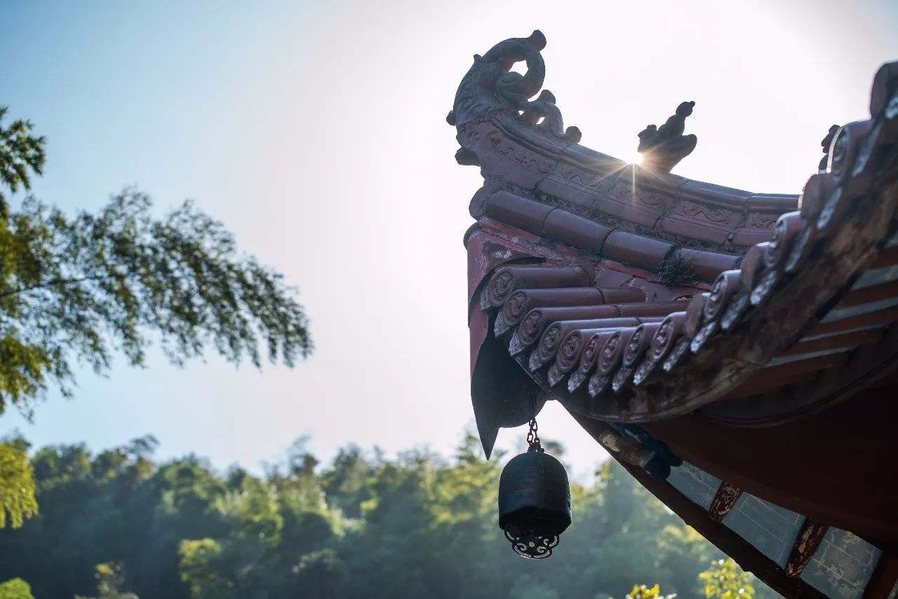 九華山·清竹里，延續(xù)和分享茶文化禪文化