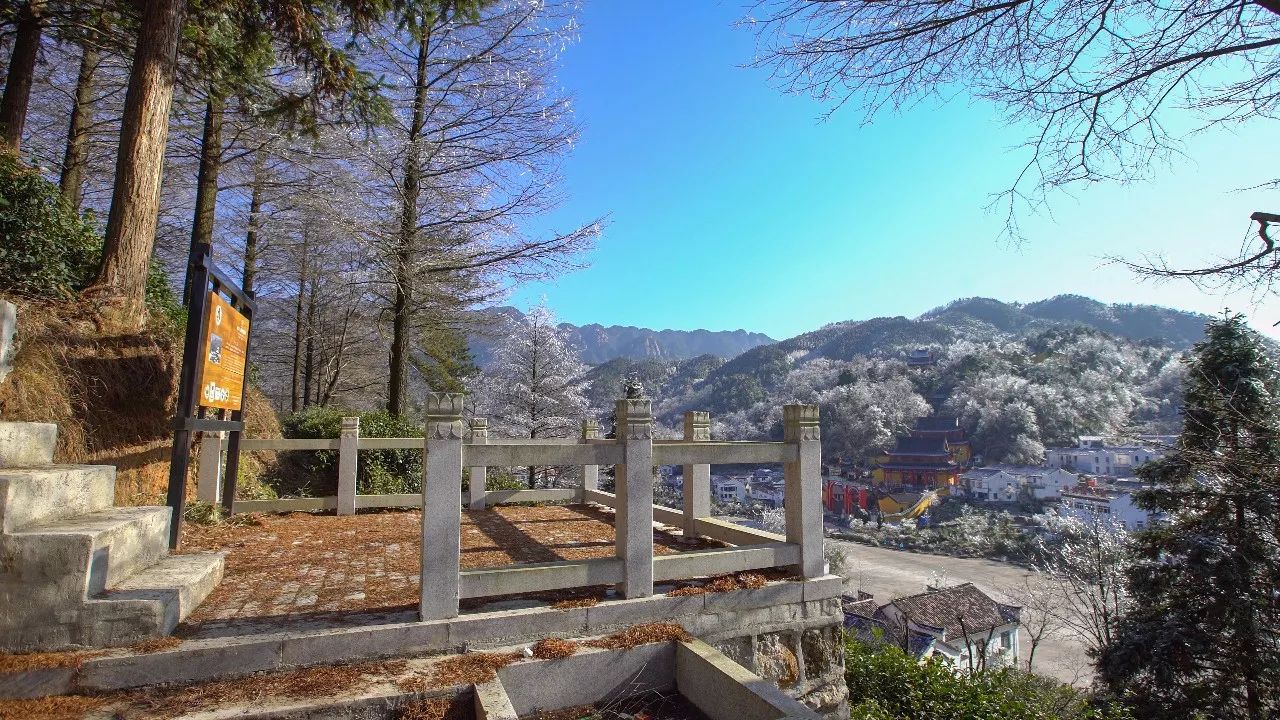 九華山·清竹里，延續(xù)和分享茶文化禪文化