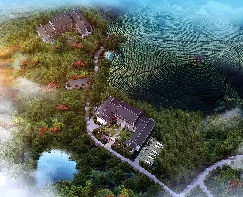 九華山·清竹里，延續(xù)和分享茶文化禪文化