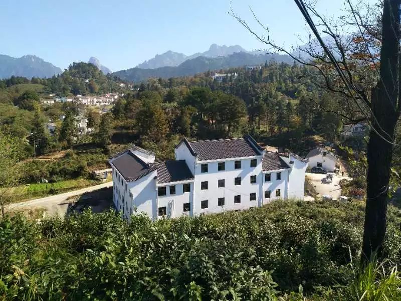 九華山·清竹里，延續(xù)和分享茶文化禪文化