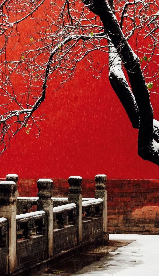 最美中國(guó)古建筑：紫禁城下雪了！