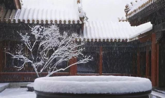 最美中國(guó)古建筑：紫禁城下雪了！