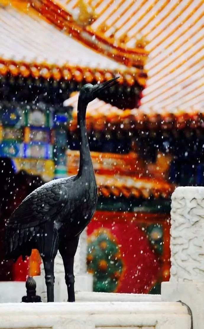 最美中國古建筑：紫禁城下雪了！