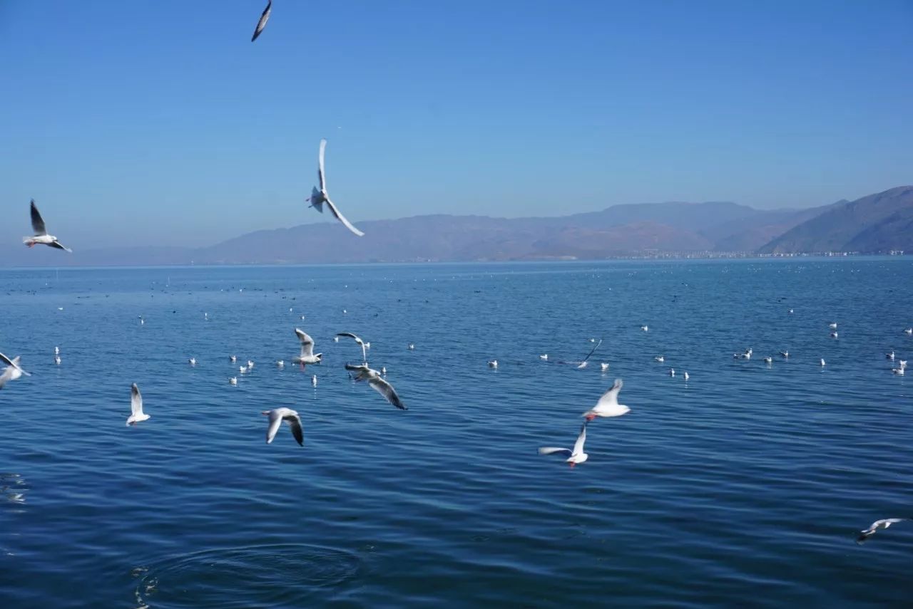 大理·胡思年月海景度假客棧，人間處處是道場