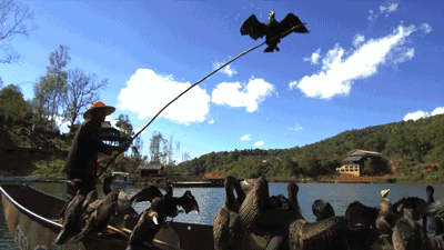 西盟·普洱民宿，偷得浮生半日閑心情半佛半神仙