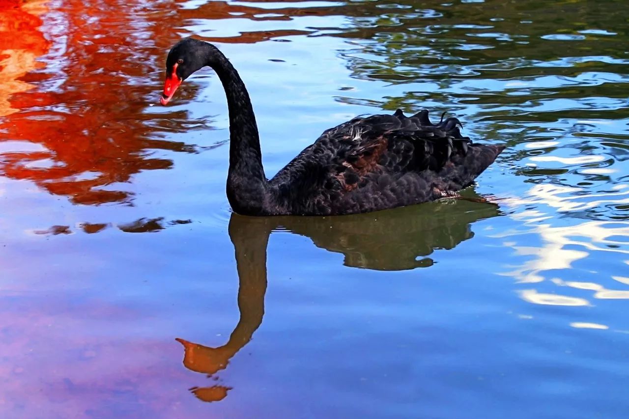 西盟·普洱民宿，偷得浮生半日閑心情半佛半神仙