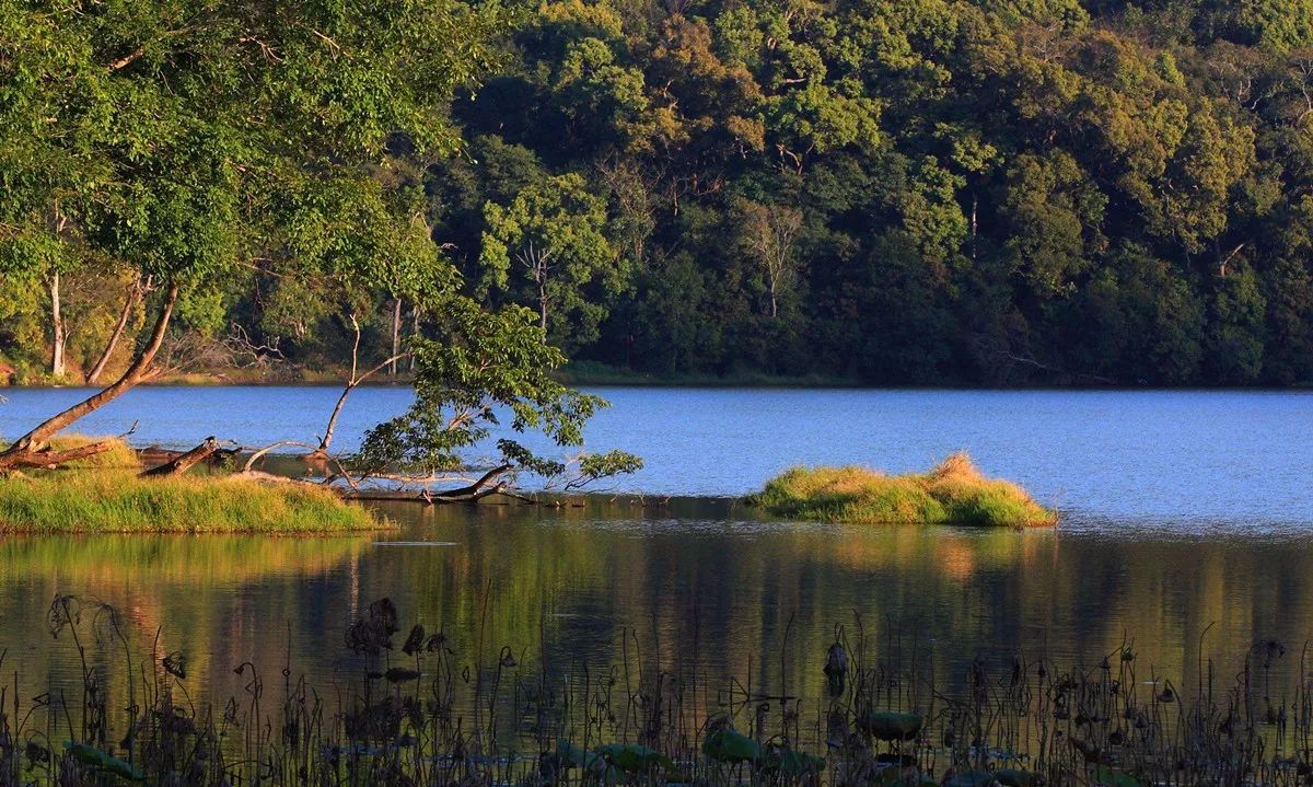 西盟·普洱民宿，偷得浮生半日閑心情半佛半神仙