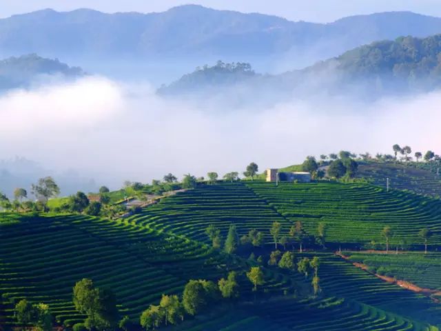 西盟·普洱民宿，偷得浮生半日閑心情半佛半神仙