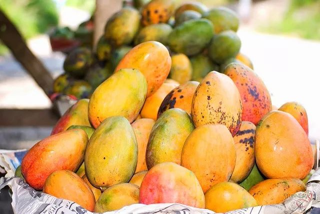 西盟·普洱民宿，偷得浮生半日閑心情半佛半神仙