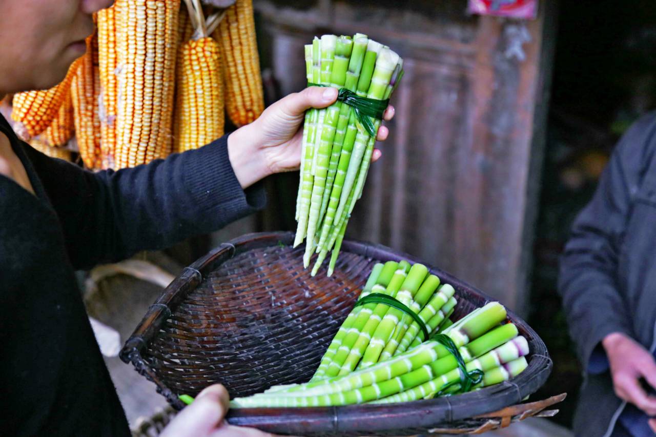 路之青城，在應(yīng)該努力的年紀留下精彩的痕跡！