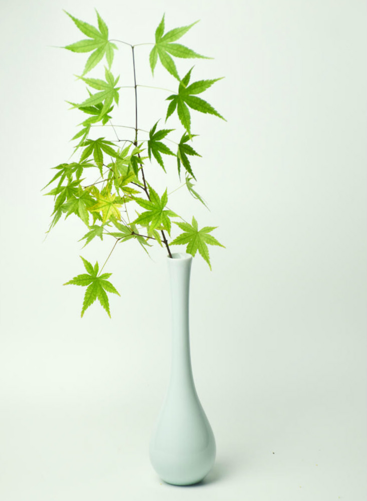 插花藝術：四款簡約中式插花