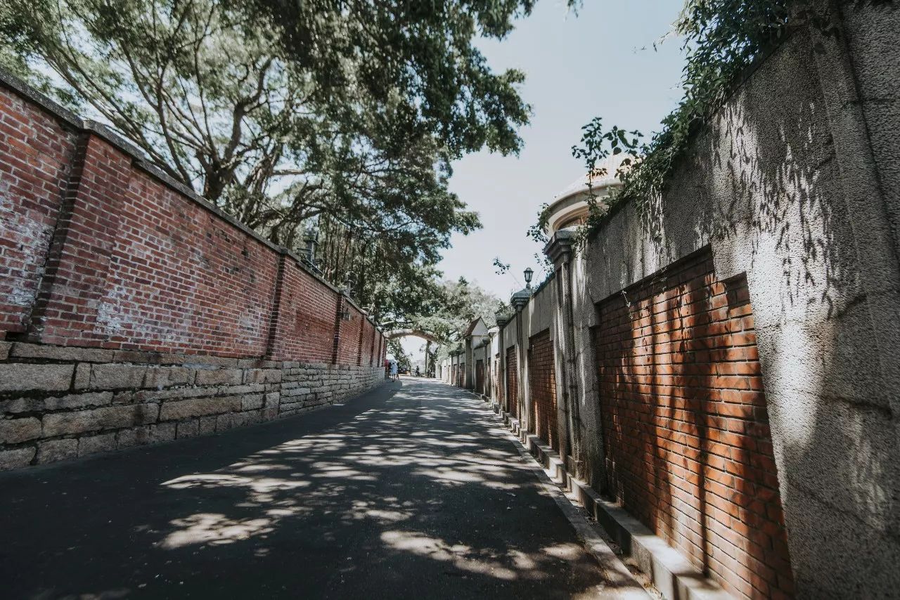 廈門·春草芬芳，體驗(yàn)面朝大海沐浴星辰的愜意芬