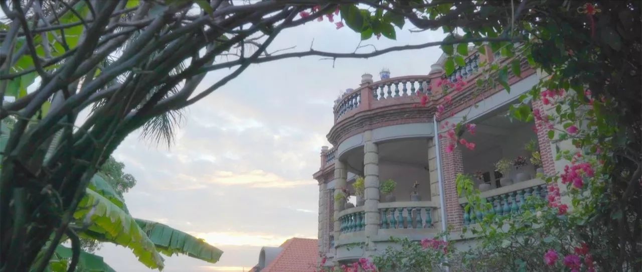 廈門·春草芬芳，體驗面朝大海沐浴星辰的愜意芬