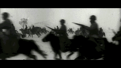 廈門·春草芬芳，體驗(yàn)面朝大海沐浴星辰的愜意芬