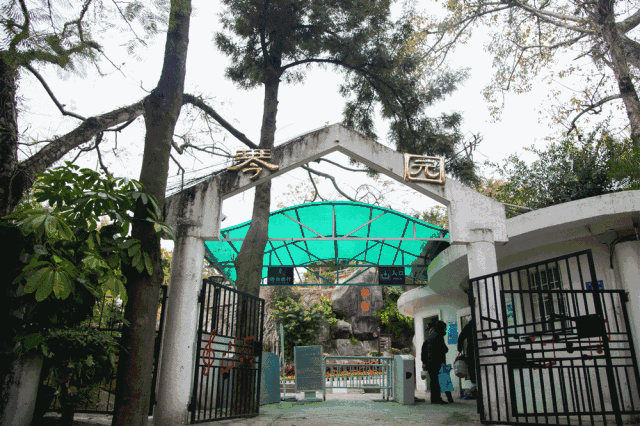 廈門(mén)·春草芬芳，體驗(yàn)面朝大海沐浴星辰的愜意芬