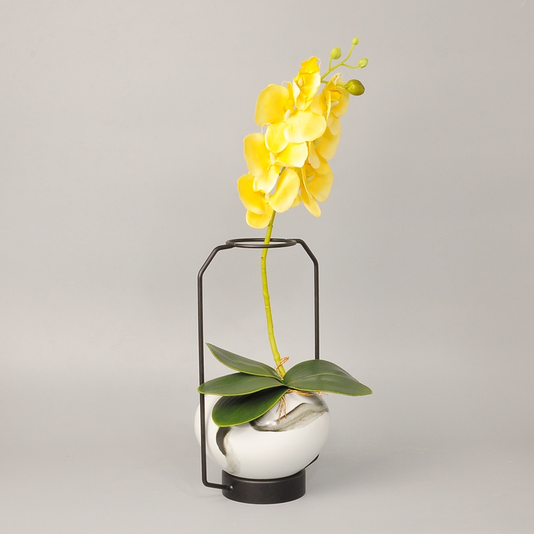 蝴蝶蘭插花藝術：簡約清新創(chuàng)意鐵藝插花