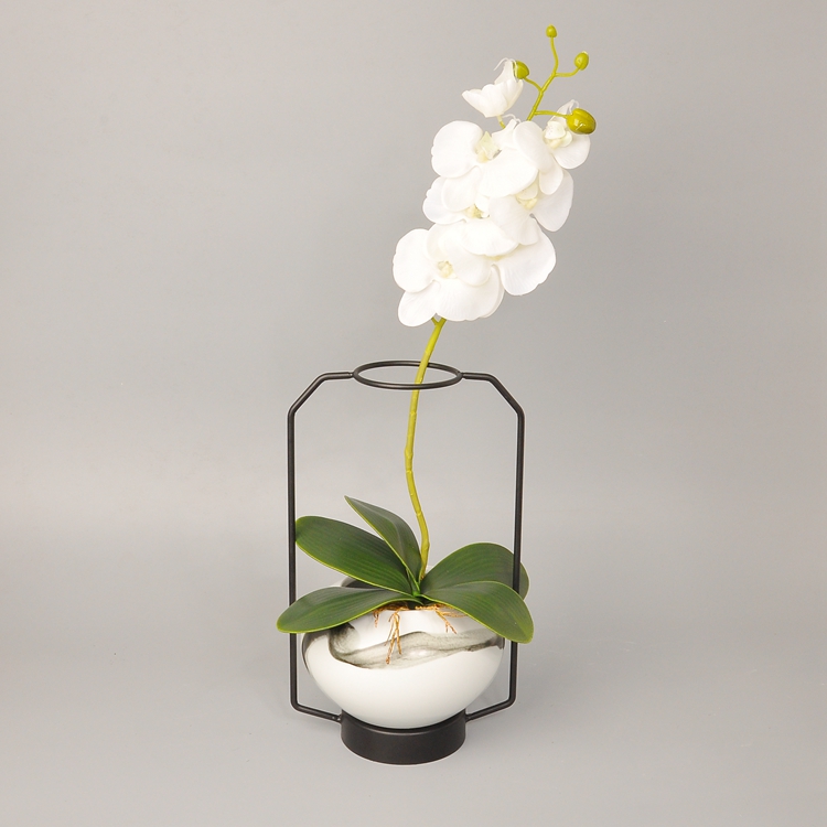 蝴蝶蘭插花藝術：簡約清新創(chuàng)意鐵藝插花